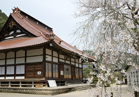 鳳源寺と桜